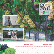 Калнедарь BASF